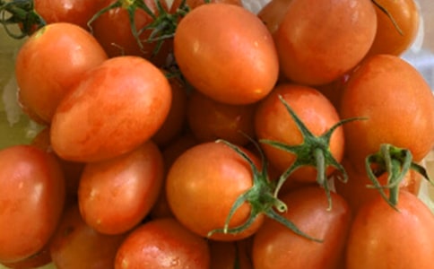 ����Сѧ����11ƪ