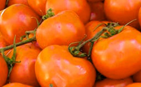 有关番茄的作文600字