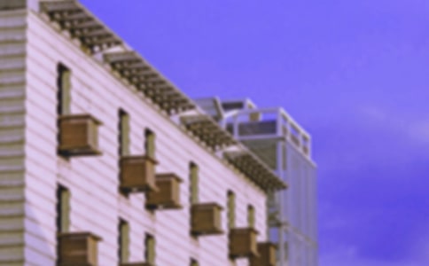 ����ķ�������600��10ƪ