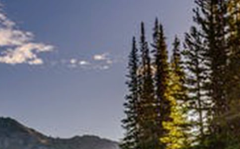 �������꼶�羰���ļ���8ƪ