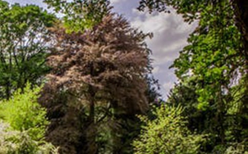 �йط羰�ĳ�������