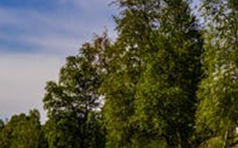 ÿ��վ�㶼�з羰��������(����)