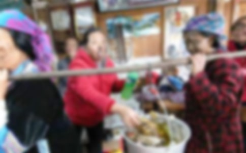 ����ѡ���ҵķ�������500����ƪ