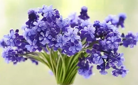 �۲����������800��