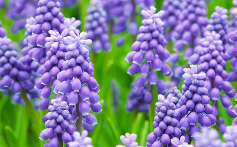 ����������350��