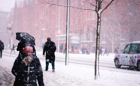 ����Ʒ����ѩ������600����ƪ