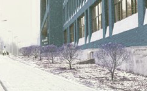 ���Ƽ�����ѩ������600��4ƪ