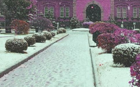 ��ѩ������400��10ƪ