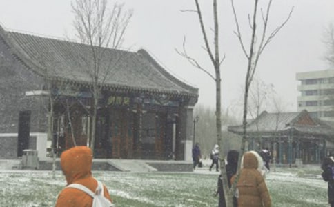 ���ڷ�ѩ������600��6ƪ