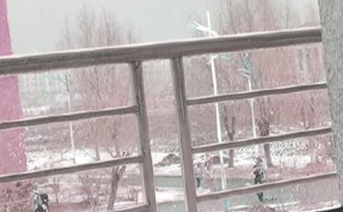 ��ѩ������400��5ƪ