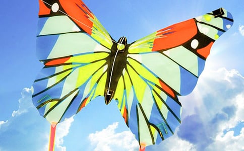 �ŷ���Сѧ���꼶����