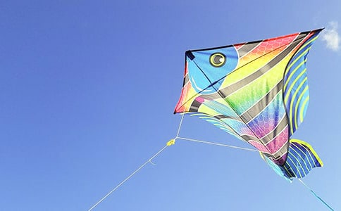 高三关于风筝的优秀作文