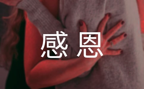 ʵ�õ����꼶�ж�����300����ƪ