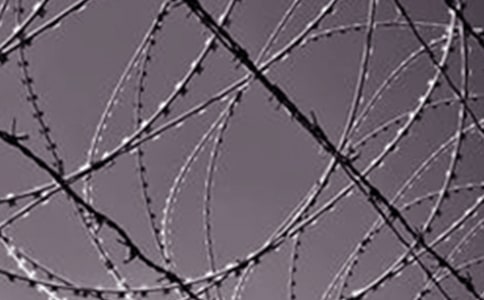 �������������ɶ����14ƪ