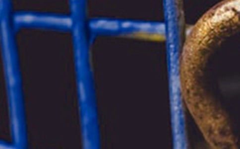 �������������ɶ����