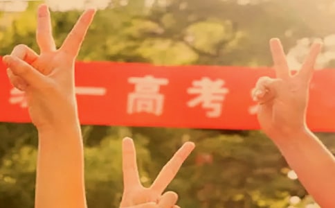 2021年全国新高考Ⅰ卷高考作文:走过荆棘之地,一起抵达远方