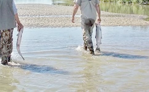 �����������