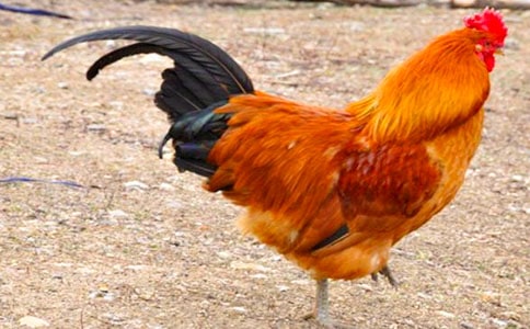 �󹫼�״������2ƪ