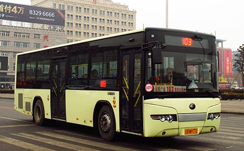 ��������Сѧ����