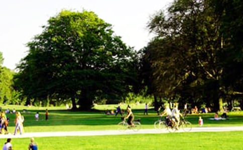 ��԰����600��(��)