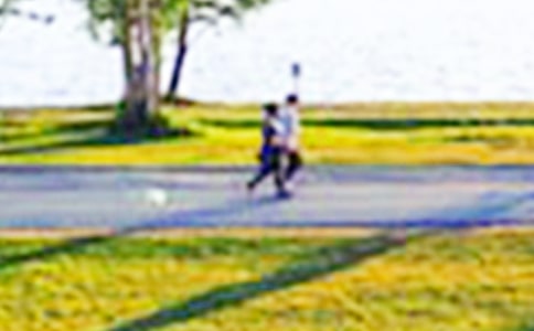 ��������ɽ��԰����9ƪ