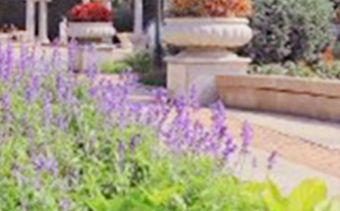 �������������Ĺ�԰����500��ʮƪ