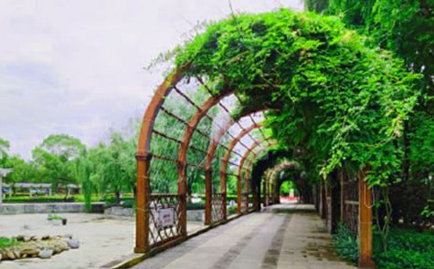 �����š���԰���꼶����8ƪ