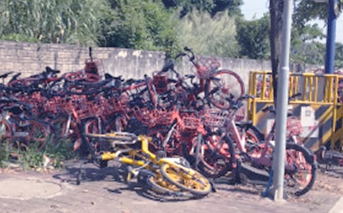 ��ѡ������������600��9ƪ