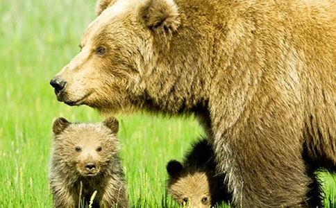 ��������500����ƪ