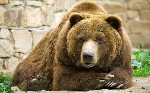 ��������500����ƪ