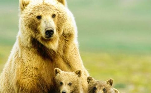 ��������500��6ƪ