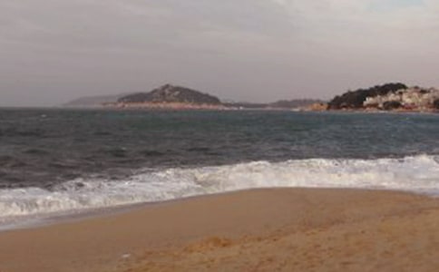 ���ر�������������300����ƪ