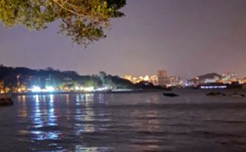 ʵ�õ����Ź�����Сѧ����4ƪ