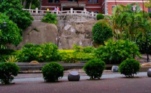 �������μ����� (15ƪ)