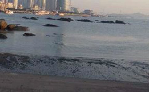 ���Ź�����Сѧ����7ƪ