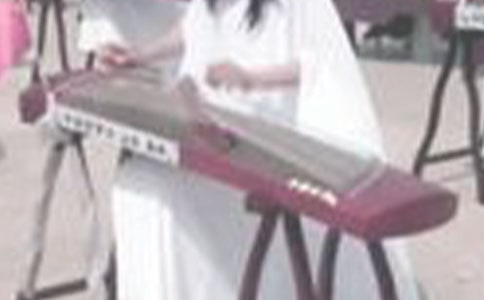 古筝作文500字合集7篇