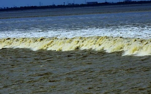 ���Ƽ����۳�����300�֣���ѡ47ƪ��