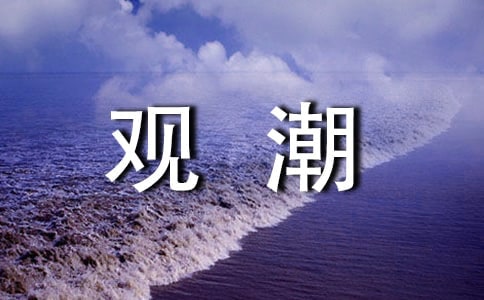 观潮作文300字3篇