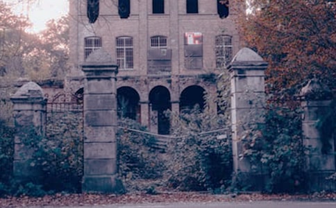 �����š���������300����ƪ