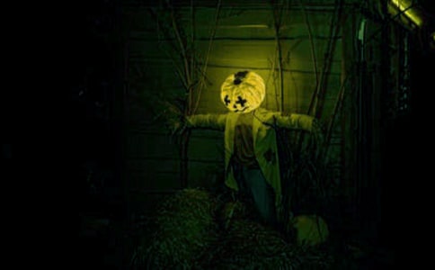 ��ѡ��������400����ƪ