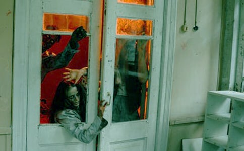 �´����������Ƽ�