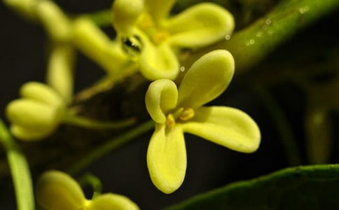 �йع����꼶���Ļ��9ƪ