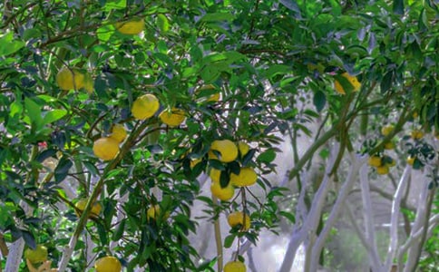 ����ѡ����԰������400��10ƪ