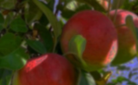 ��԰������300�ֻ��[5ƪ]