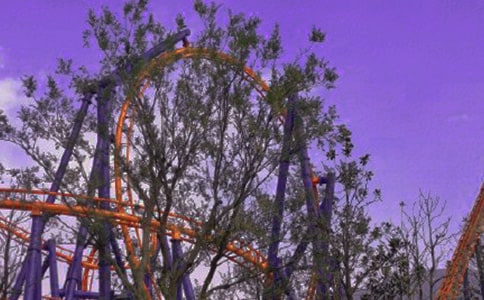 ��ɽ������300��8ƪ