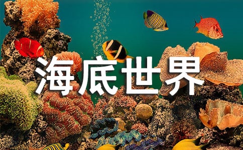 ���꼶�����������Ļ�����ƪ