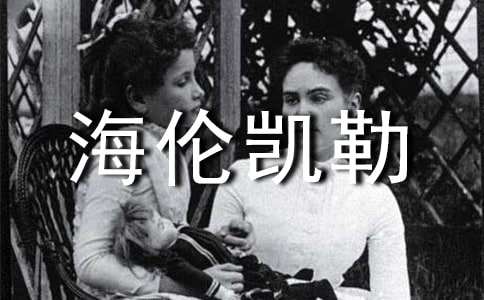 ���׿���Ӣ������