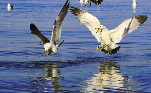 �йغ�Ÿ����300��3ƪ