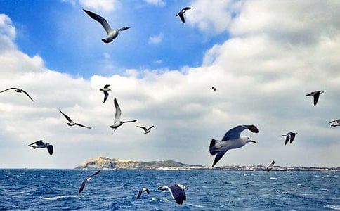 ����Ÿ����ɭ�������15ƪ