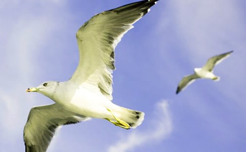 ��Ÿ����300��8ƪ